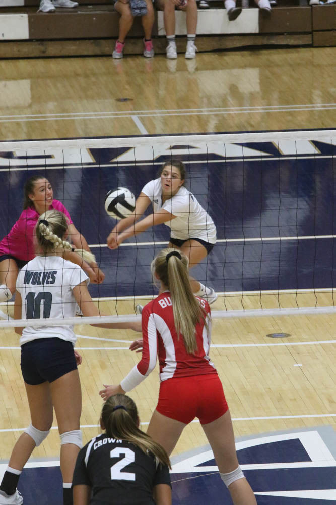 Gallery: Girls volleyball - Crown Point at Michigan City